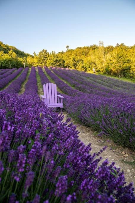La Casa Della Lavanda Borgo Adorno Esterno foto