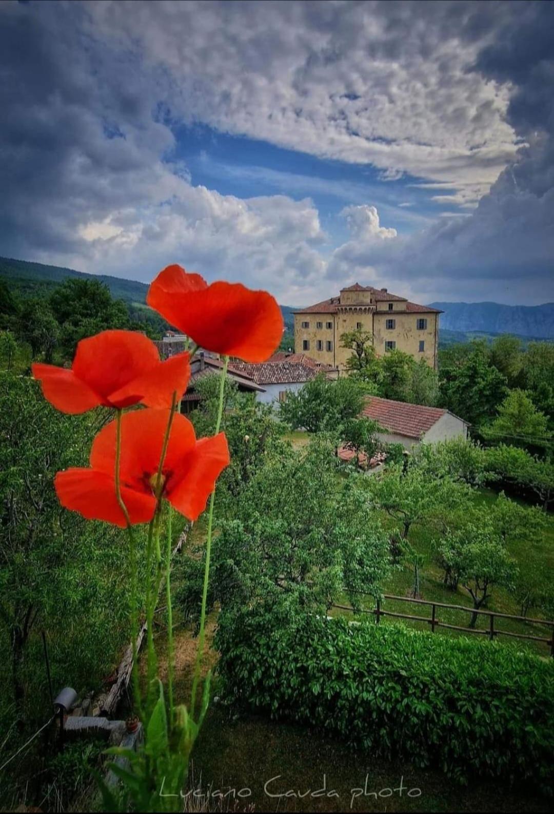La Casa Della Lavanda Borgo Adorno Esterno foto